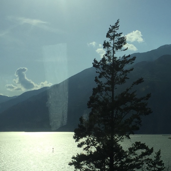 Meet your Posher, Terry - Picture 1 of 1